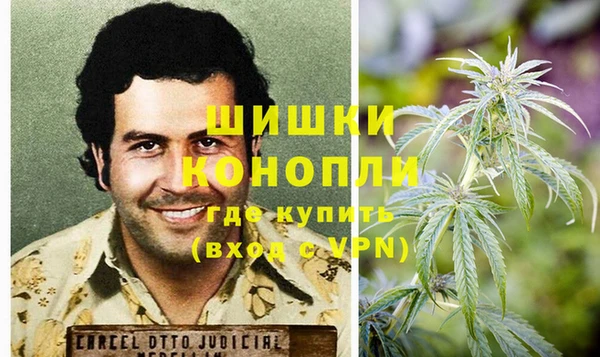 ешки Богданович