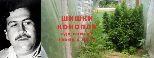 ешки Богданович