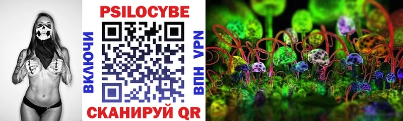 Галлюциногенные грибы прущие грибы  Болохово 
